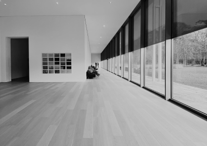 101 ST. CLAIR Engineered Hardwood • 2,000+ sq ft
